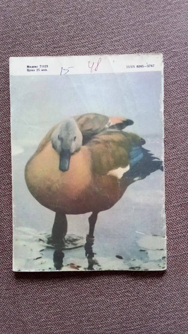 Журнал СССР : Юный натуралист № 3 (март) 1987 г. (Флора и фауна , животные) 1