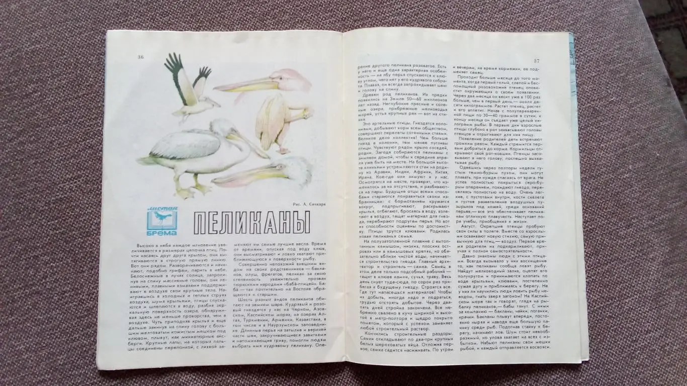 Журнал СССР : Юный натуралист № 3 (март) 1987 г. (Флора и фауна , животные) 4