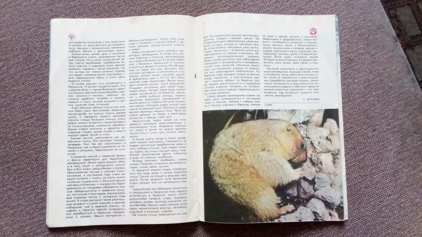 Журнал СССР : Юный натуралист № 3 (март) 1987 г. (Флора и фауна , животные) 7
