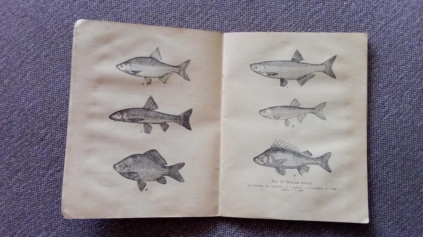 С. Бернштейн - Ловля рыбы на кружки ФиС 1965 г.. Рыбалка Рыболов Спорт 7