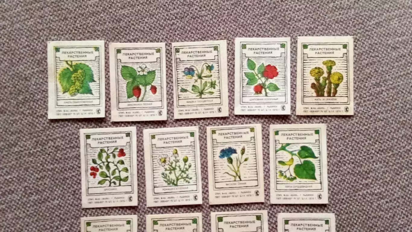 Спичечные этикетки (Спички) : СССР Лекарственные растения 1976 г. Флора Цветы 1