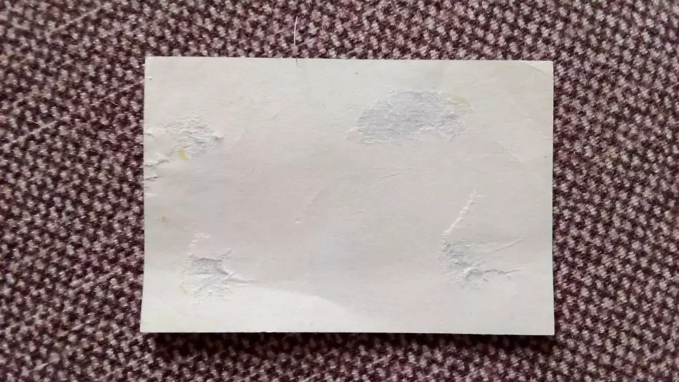 Этикетка Германия (ГДР) Колбаса Салями ( продукты питания ) 1