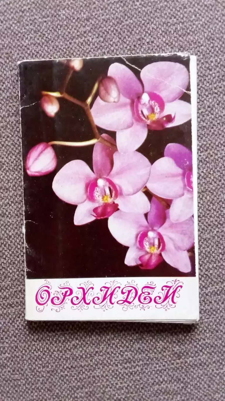 Орхидеи 1981 г. полный набор - 15 открыток (чистые , в идеале) Цветы Растения