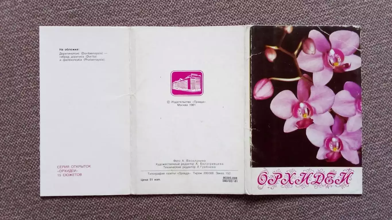 Орхидеи 1981 г. полный набор - 15 открыток (чистые , в идеале) Цветы Растения 1