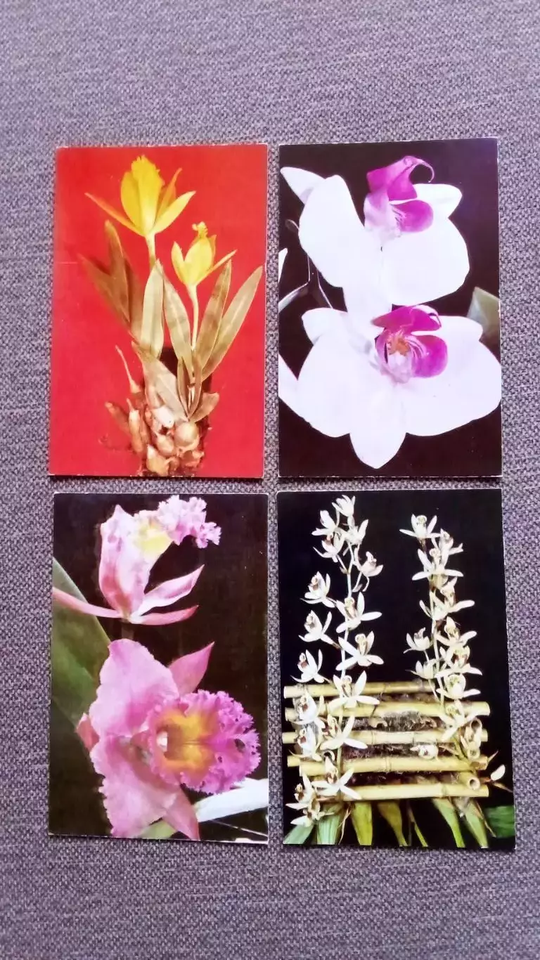 Орхидеи 1981 г. полный набор - 15 открыток (чистые , в идеале) Цветы Растения 3