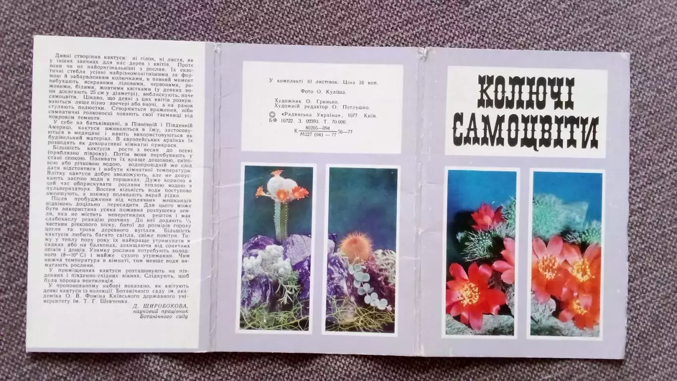 Колючие самоцветы (Кактусы) 1977 г. полный набор - 10 открыток (цветы , флора) 1