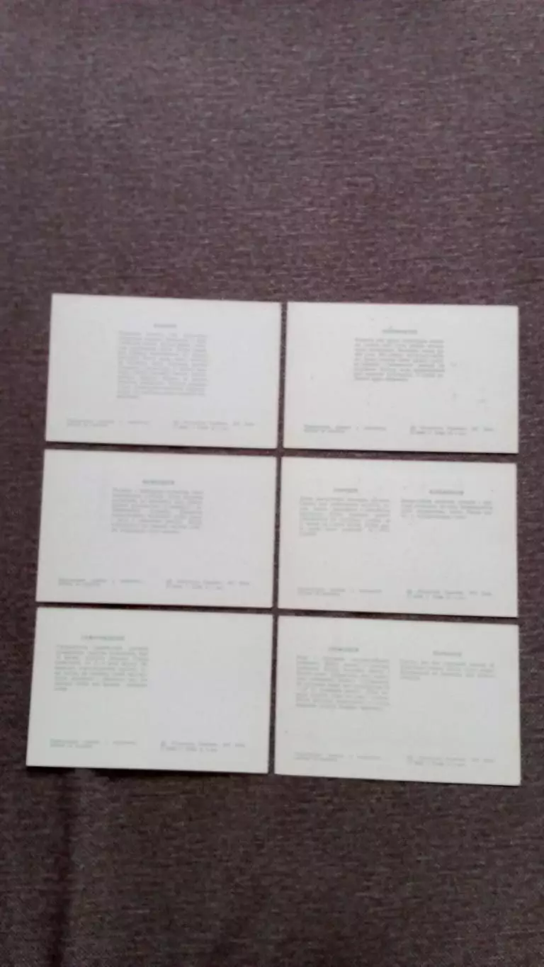 Колючие самоцветы (Кактусы) 1977 г. полный набор - 10 открыток (цветы , флора) 6