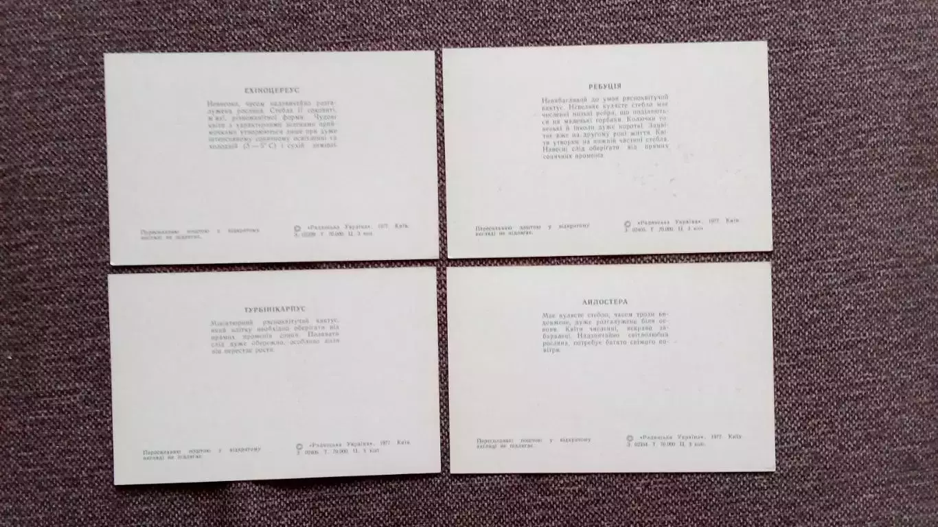 Колючие самоцветы (Кактусы) 1977 г. полный набор - 10 открыток (цветы , флора) 7