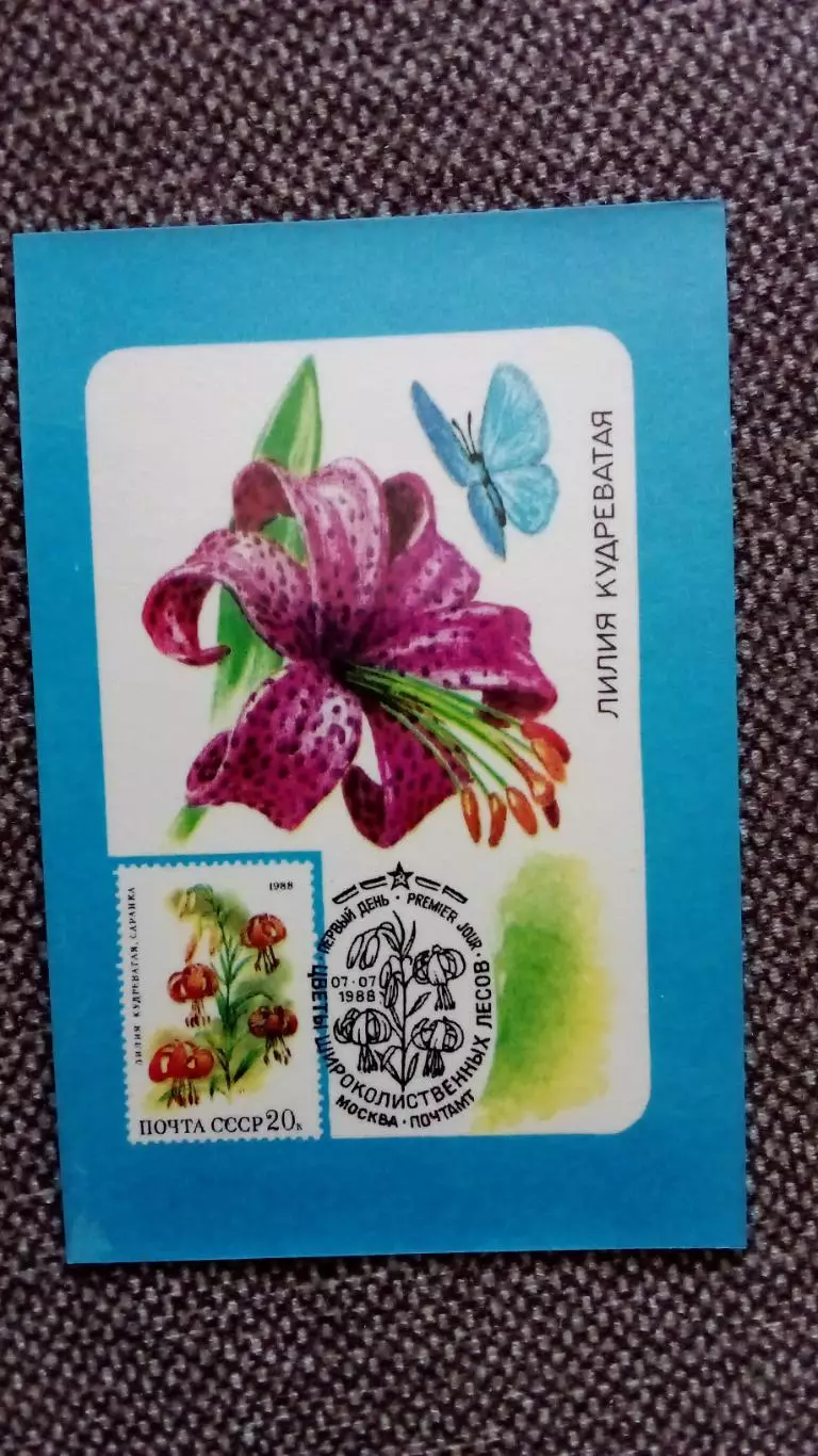 Карманный календарик : Лилия кудреватая 1990 г. Цветы Флора Растения