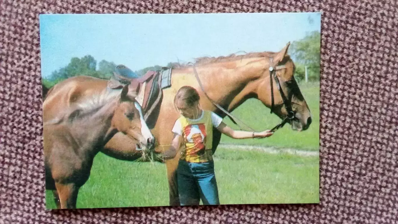 Карманный календарик : Девочка с лошадьми 1990 г. Лошадь Фауна Животные