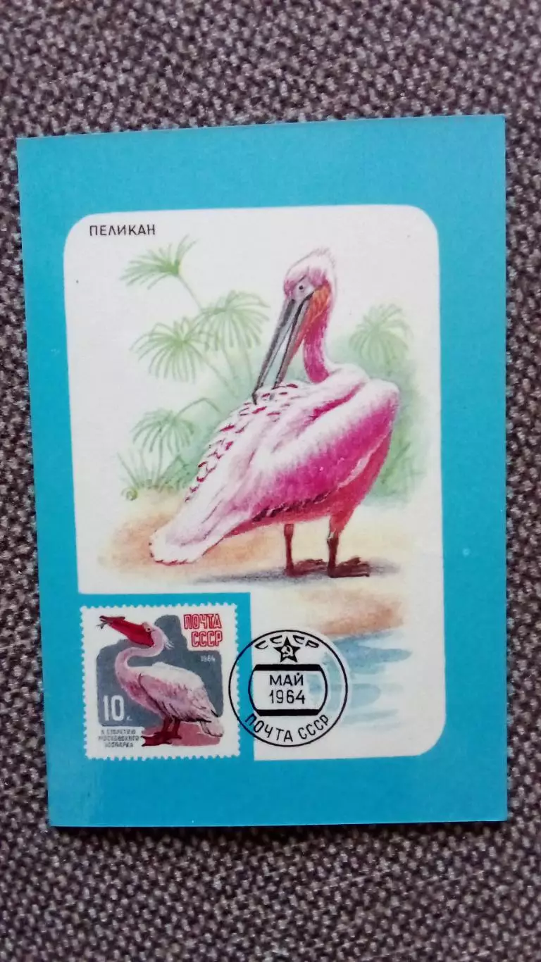 Карманный календарик : Пеликан 1990 г. почтовая марка на календарике Птица Фауна