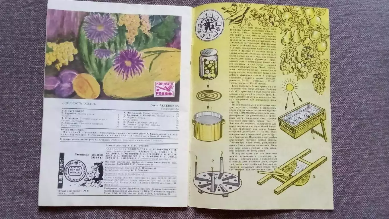 Журнал СССР : Юный натуралист № 9 (сентябрь) 1988 г. (Флора и фауна , животные 1
