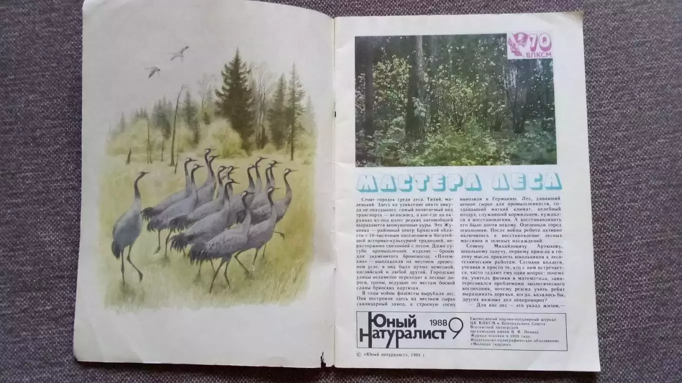 Журнал СССР : Юный натуралист № 9 (сентябрь) 1988 г. (Флора и фауна , животные 3
