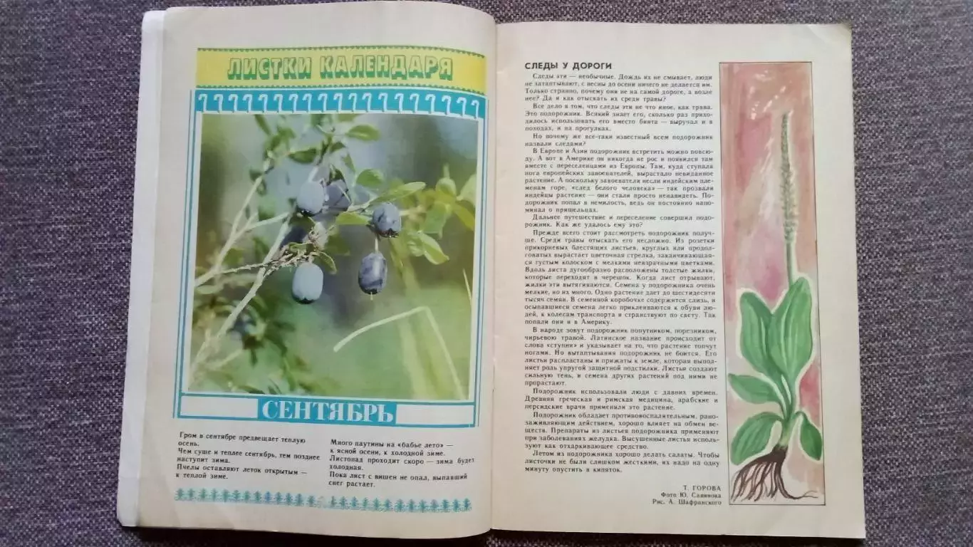 Журнал СССР : Юный натуралист № 9 (сентябрь) 1988 г. (Флора и фауна , животные 4