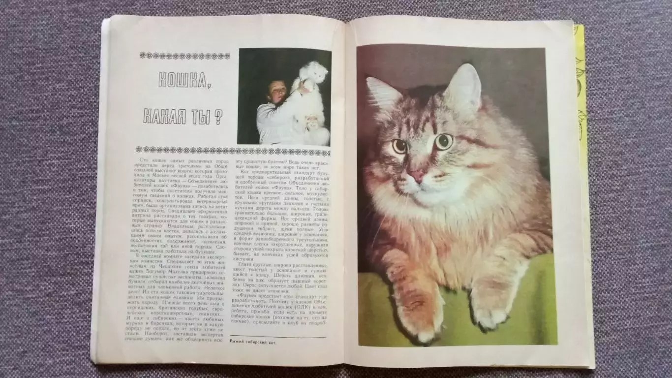 Журнал СССР : Юный натуралист № 9 (сентябрь) 1988 г. (Флора и фауна , животные 6