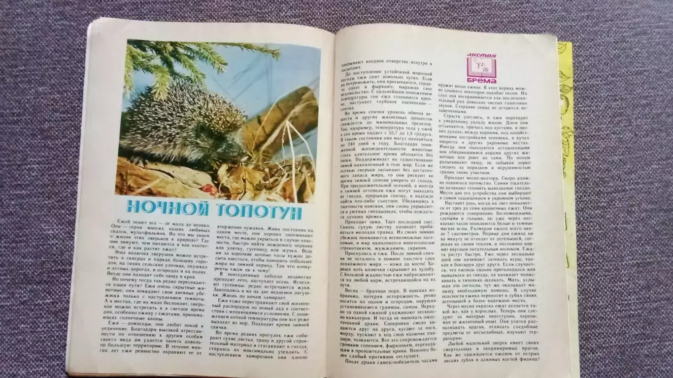 Журнал СССР : Юный натуралист № 9 (сентябрь) 1988 г. (Флора и фауна , животные 7