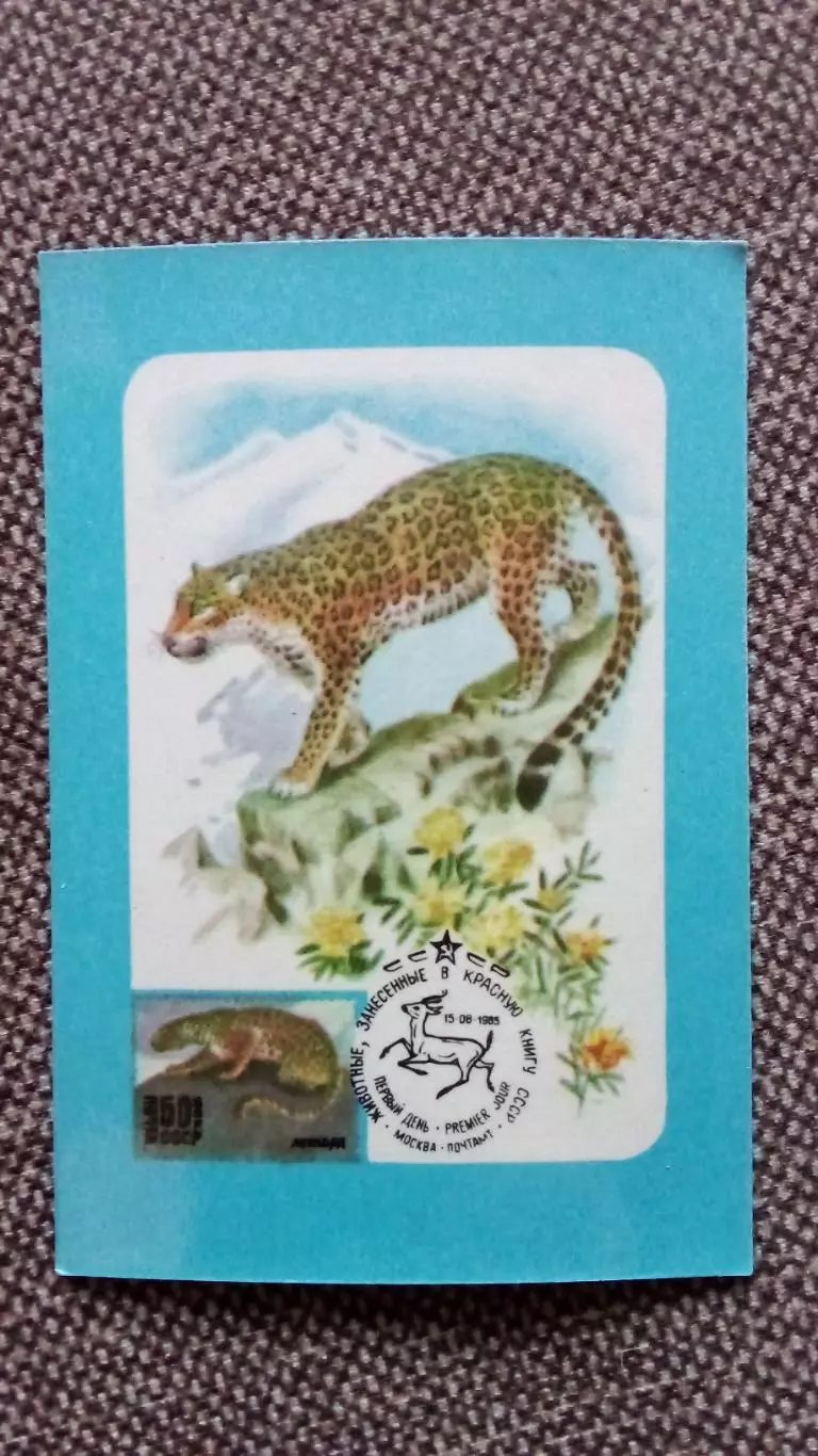 Карманный календарик : Почтовая марка на календарике Леопард 1988 г. Фауна