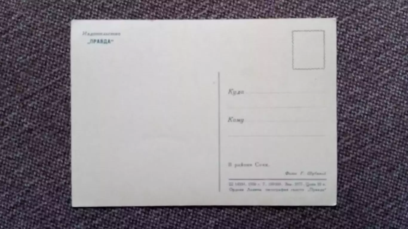 Города СССР : В районе Сочи 1956 г. Моторный катер (лодка) Транспорт 1