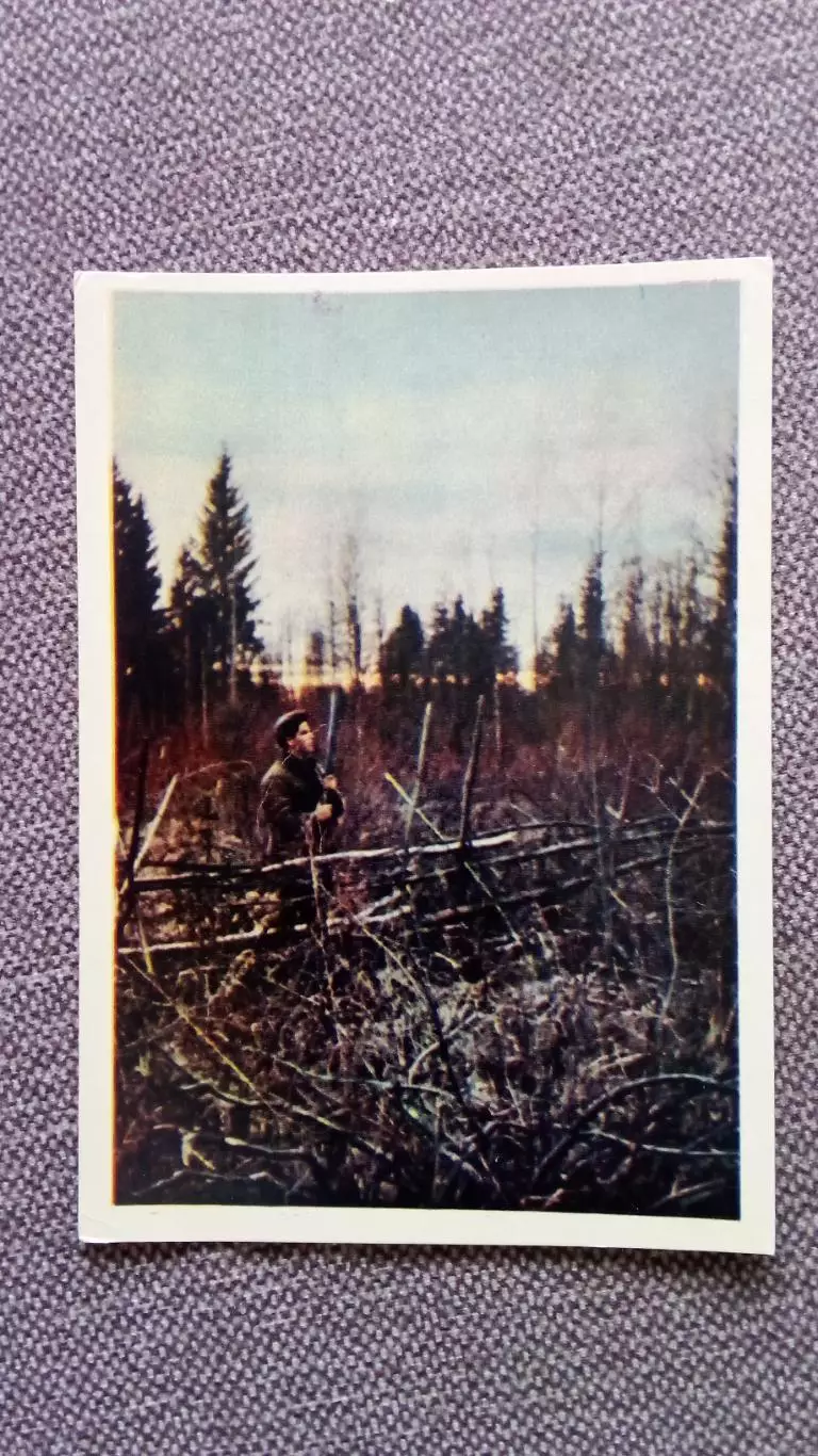 На тяге . 1958 г. Охота Охотник (почтовая карточка - открытка) Спорт
