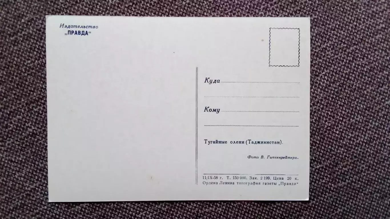 Тугайские олени (Таджикистан) 1958 г. почтовая карточка-открытка (Животные Фауна 1