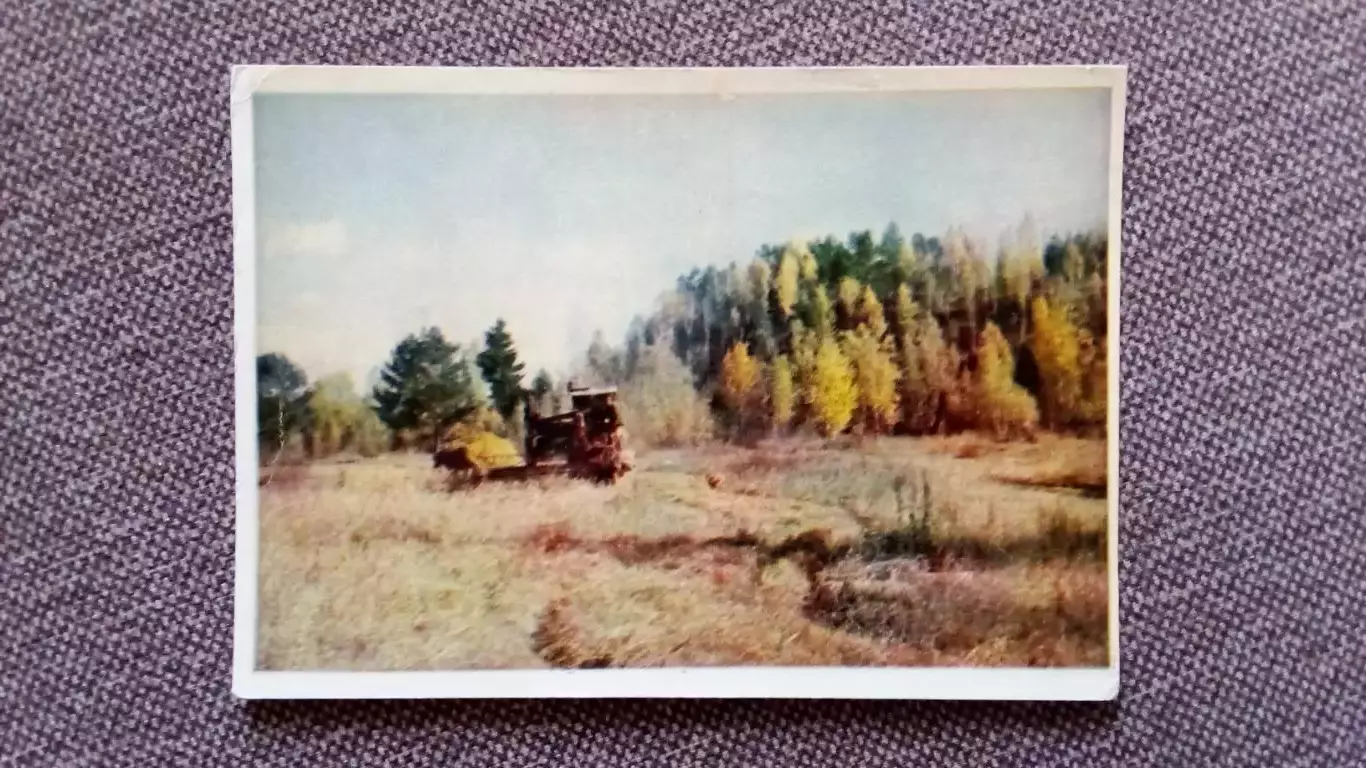 На полях Восточной Сибири 1956 г. Комбайн Трактор Транспорт Техника (почтовая)