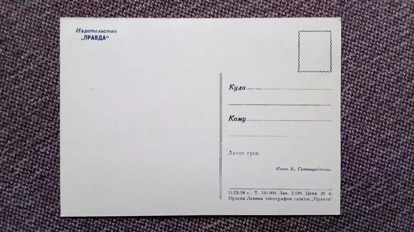 Летят гуси 1958 г. Птицы Фауна Животные (почтовая карточка - открытка) 1