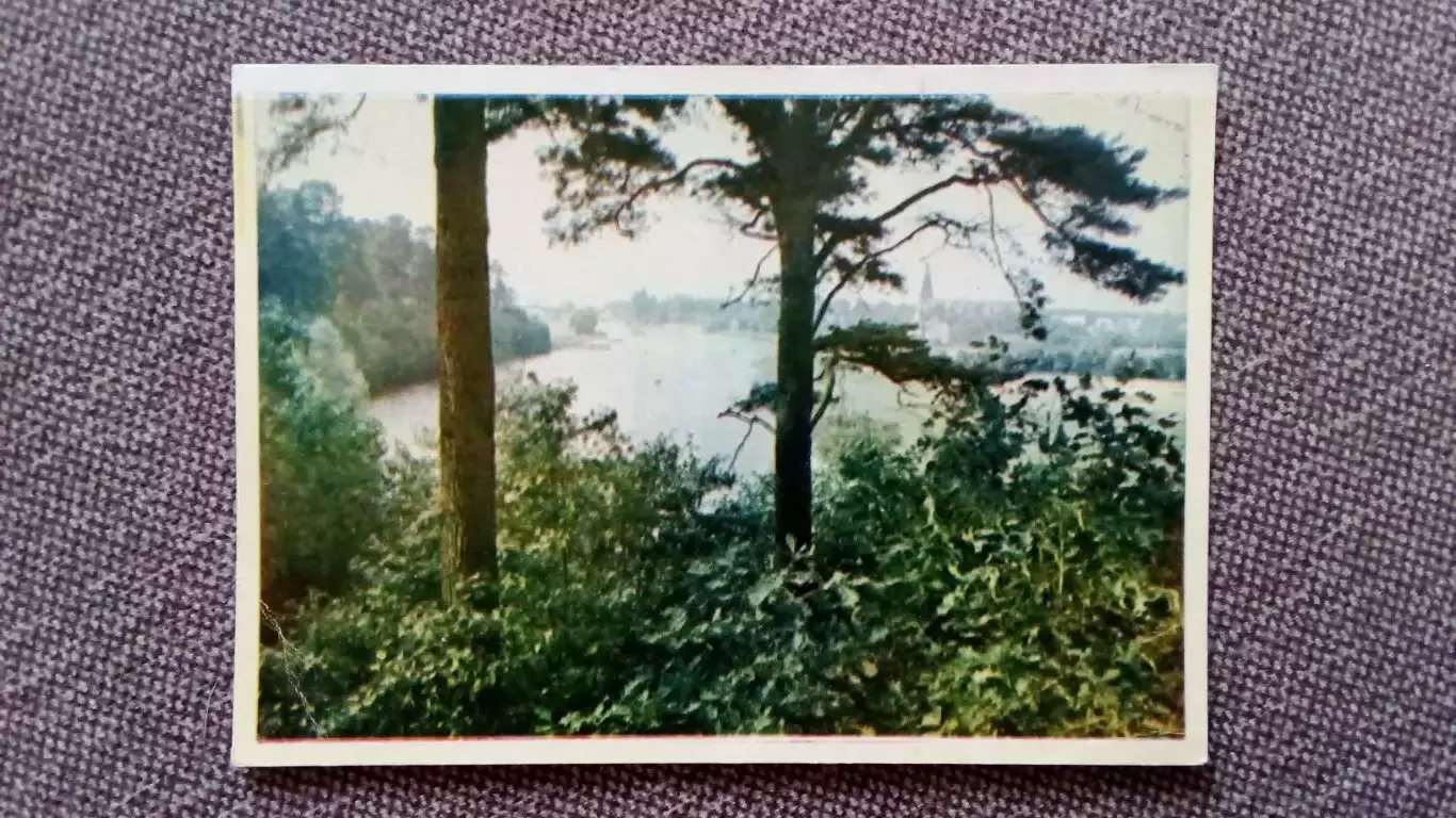 Эстонская ССР. Район Пирита 1956 г. Эстония (почтовая карточка-открытка)