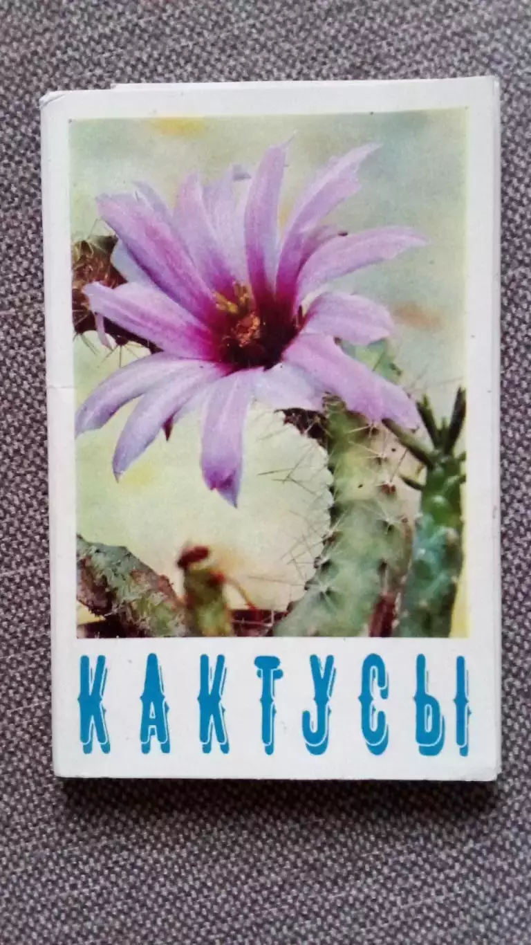 Кактусы 1972 г. полный набор - 15 открыток (чистые) Цветы Растения Флора