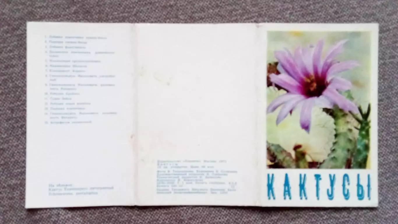 Кактусы 1972 г. полный набор - 15 открыток (чистые) Цветы Растения Флора 1