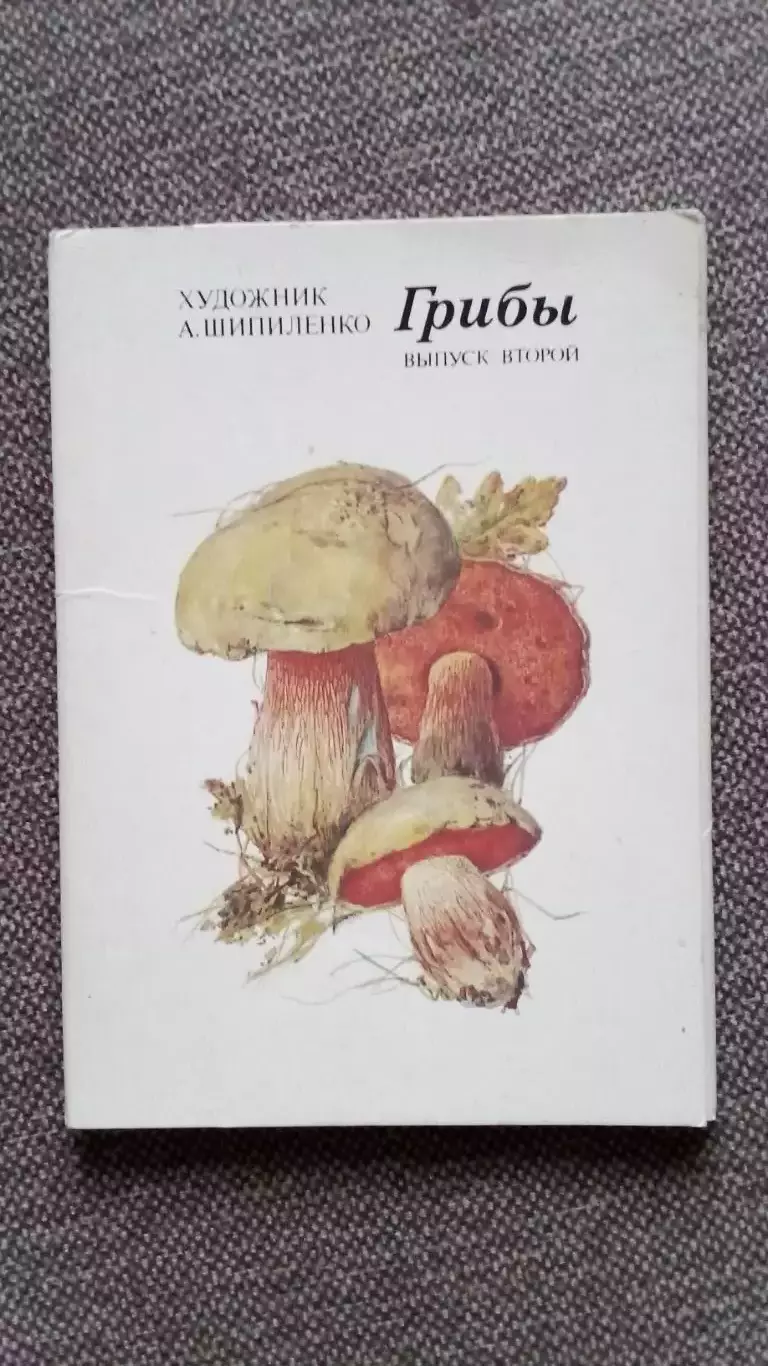 Грибы 1984 г. (выпуск № 2) полный набор - 16 открыток (чистые) Флора Растения