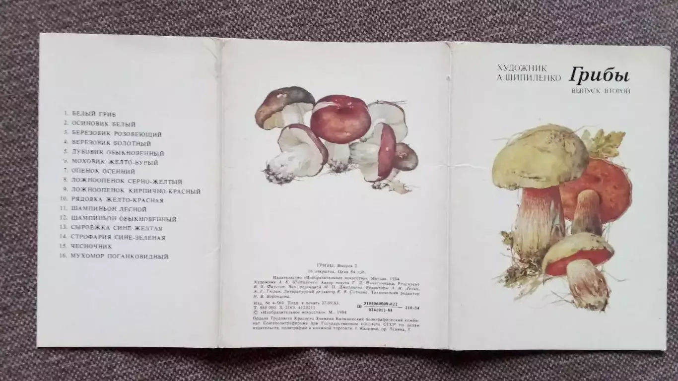 Грибы 1984 г. (выпуск № 2) полный набор - 16 открыток (чистые) Флора Растения 1