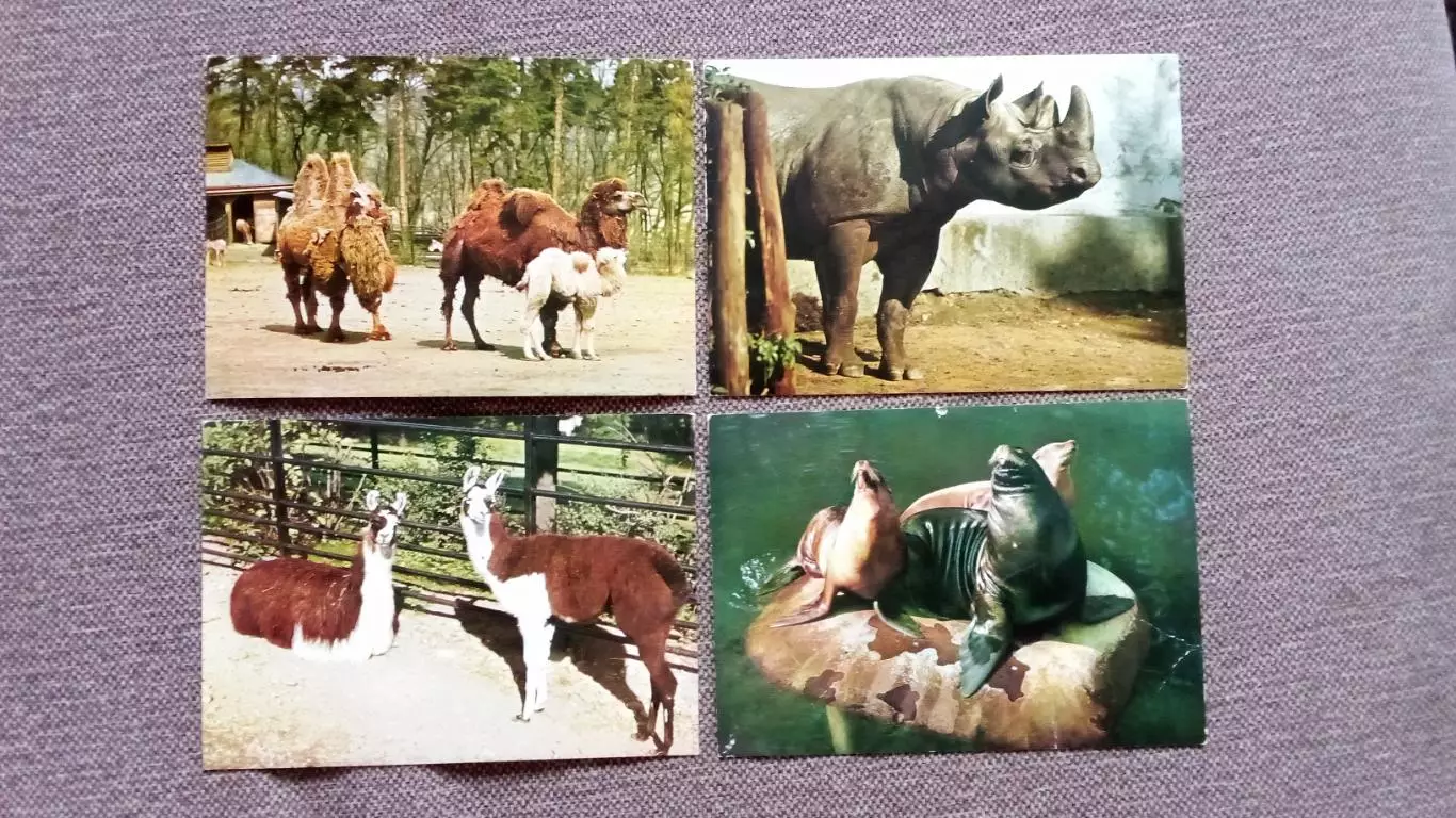 Зоопарк (Чехословакия) 70-е годы , полный набор - 12 открыток (Фауна , животные) 3