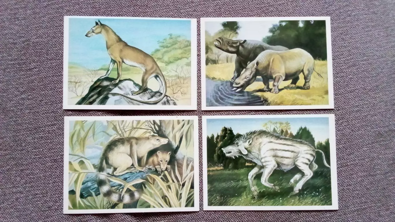 Из глубины веков 1986 г. Выпуск № 3 , полный набор - 16 открыток (Динозавры) 3