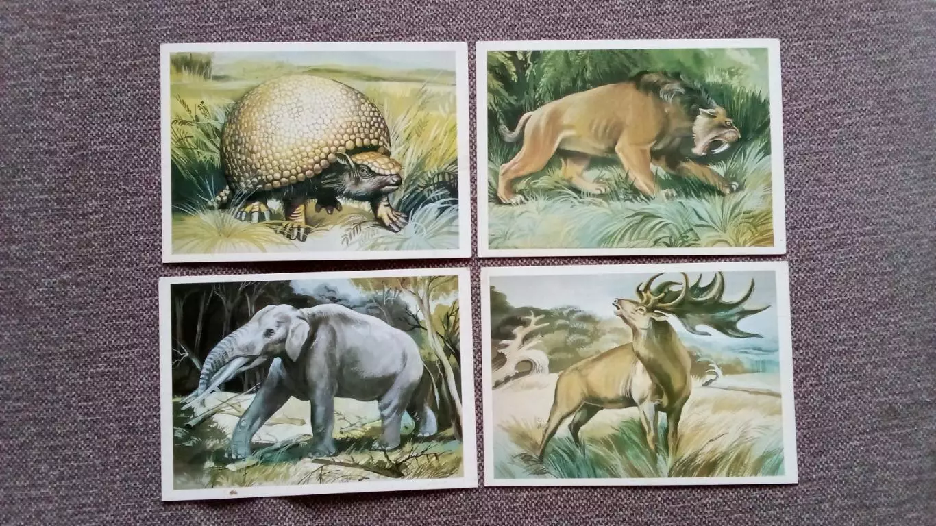 Из глубины веков 1986 г. Выпуск № 3 , полный набор - 16 открыток (Динозавры) 4