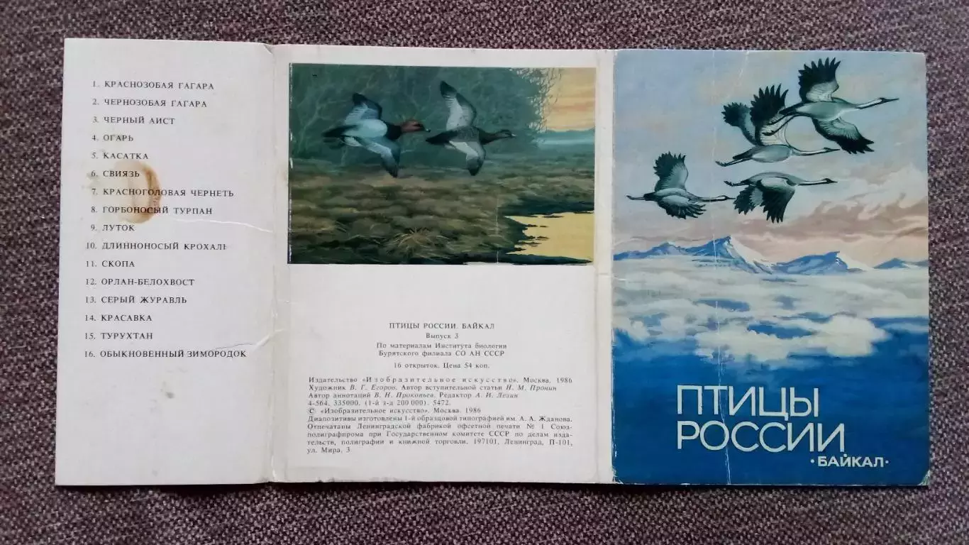Птицы России - Байкал (выпуск № 3) 1986 г. полный набор - 16 открыток (Фауна) 1