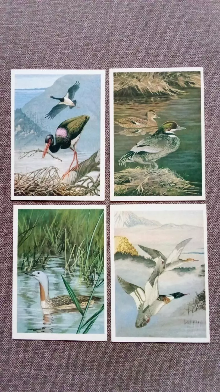 Птицы России - Байкал (выпуск № 3) 1986 г. полный набор - 16 открыток (Фауна) 3