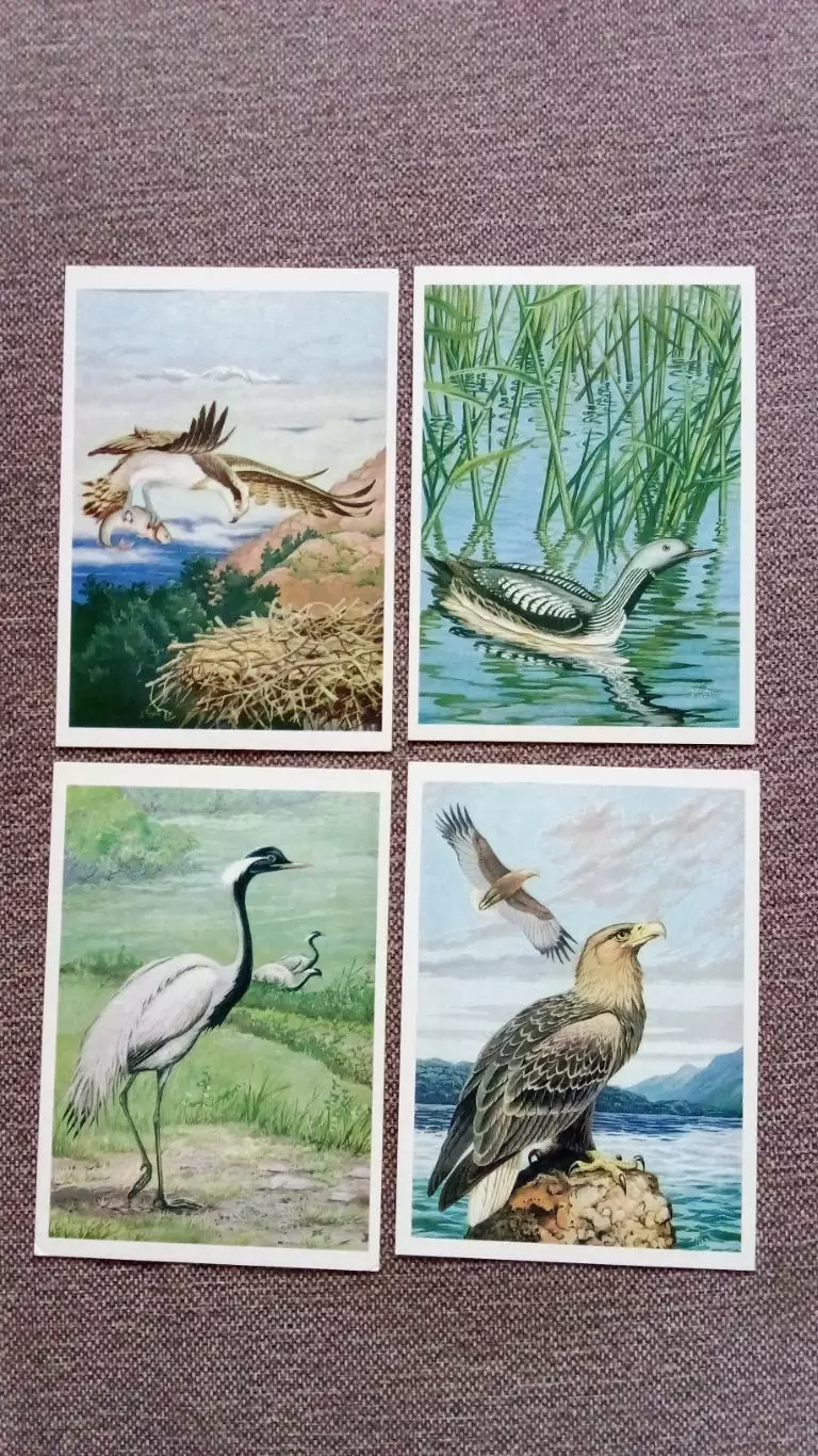 Птицы России - Байкал (выпуск № 3) 1986 г. полный набор - 16 открыток (Фауна) 4