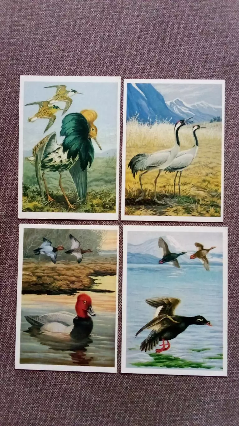 Птицы России - Байкал (выпуск № 3) 1986 г. полный набор - 16 открыток (Фауна) 5