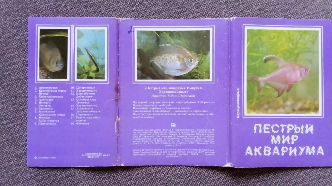 Пестрый мир аквариума (выпуск № 6) 1987 г. полный набор - 18 открыток (Рыбки) 1