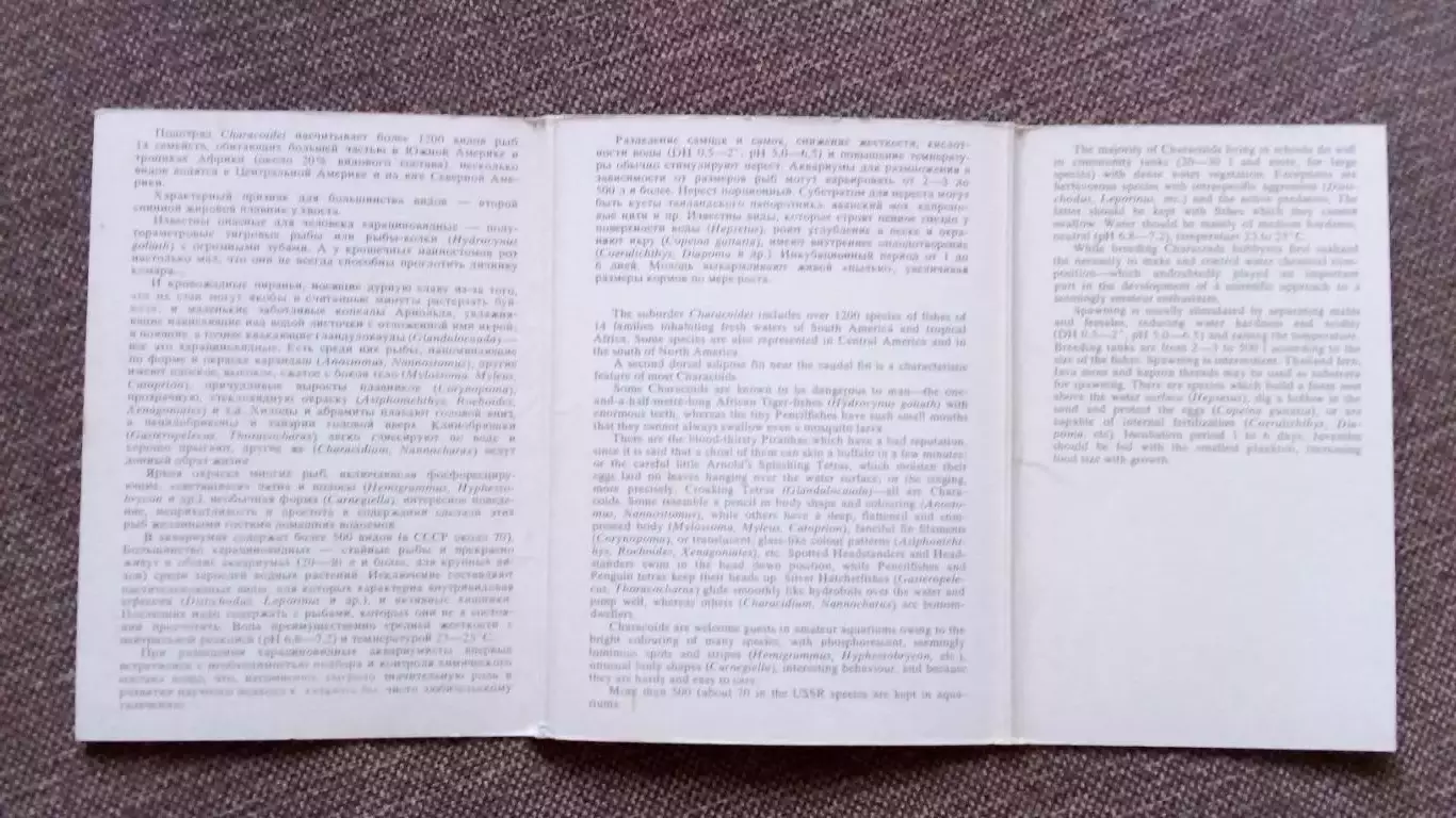 Пестрый мир аквариума (выпуск № 6) 1987 г. полный набор - 18 открыток (Рыбки) 2