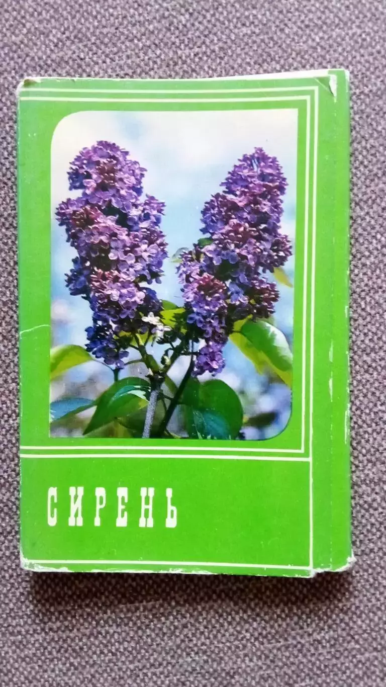 Цветы : Сирень 1976 г. полный набор - 30 открыток (чистые) Флора Растения