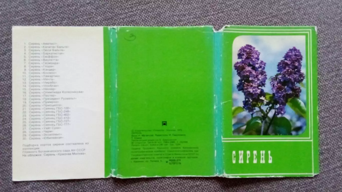 Цветы : Сирень 1976 г. полный набор - 30 открыток (чистые) Флора Растения 1