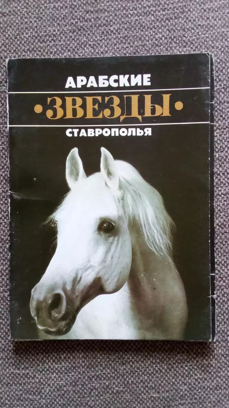 Арабские звезды Ставрополья 1988 г. полный набор - 15 открыток (Лошадь Конь)