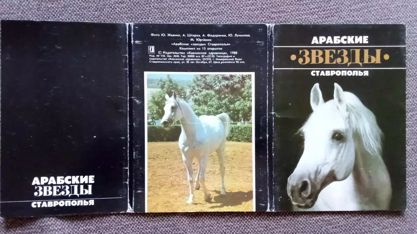 Арабские звезды Ставрополья 1988 г. полный набор - 15 открыток (Лошадь Конь) 1