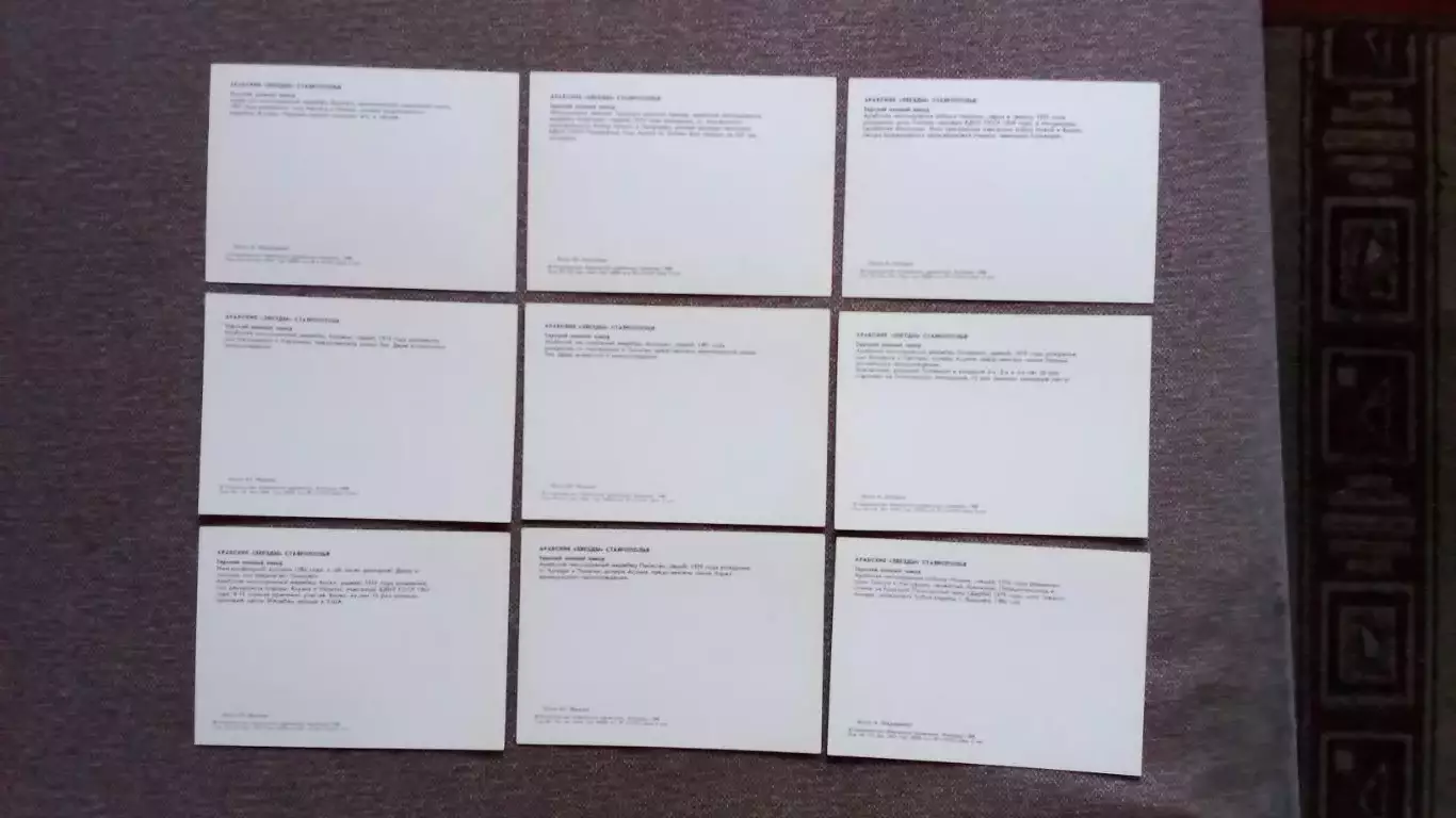 Арабские звезды Ставрополья 1988 г. полный набор - 15 открыток (Лошадь Конь) 6