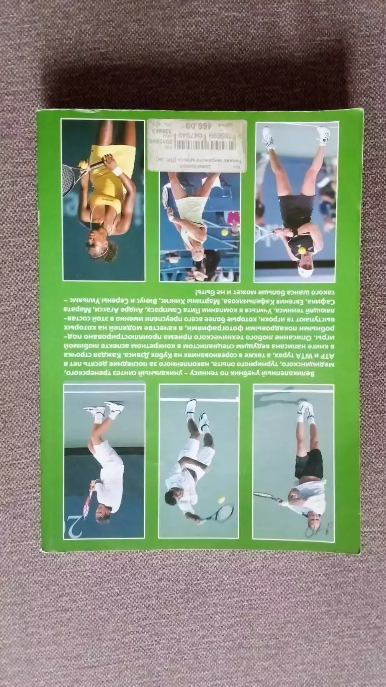 Теннис мирового класса 2004 г. АТР WTA туры , Кубок Дэвиса (Спорт) 1