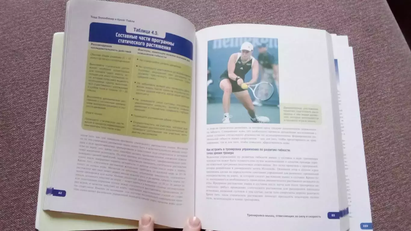 Теннис мирового класса 2004 г. АТР WTA туры , Кубок Дэвиса (Спорт) 7