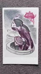 Вьетнамские девушки . Война во Вьетнаме 1969 г. Проклятье агрессору ! Милитария