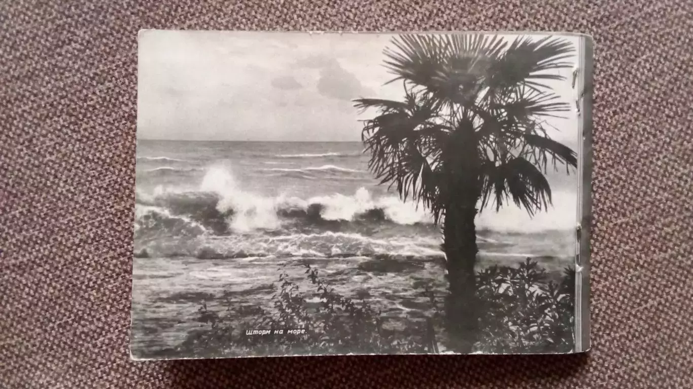 Города СССР : Сочи - 100 видов курорта 1961 г. полный набор - 10 открыток Кавказ 1