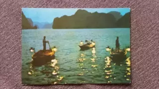 Вьетнам (Vietnam) - Ночной улов Рыбалка (80 - е годы) Лодка Транспорт